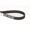 Contitech Timing Belt CT769