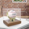 Gold Glove Baseball Display Case Holder by Display Zone –