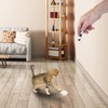 Penn-Plax LED Pointer Cat Toy with Mouse Pattern – Safer