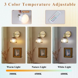 Vintage Battery Operated Wireless Wall Sconces, Rechargeable Gold Wall Lights，Amber Tulip Glass Lampshade With Remote Dimmable Wall Lighting Indoor, Led Wall Lamp Fixtures For Bedroom, Living Room