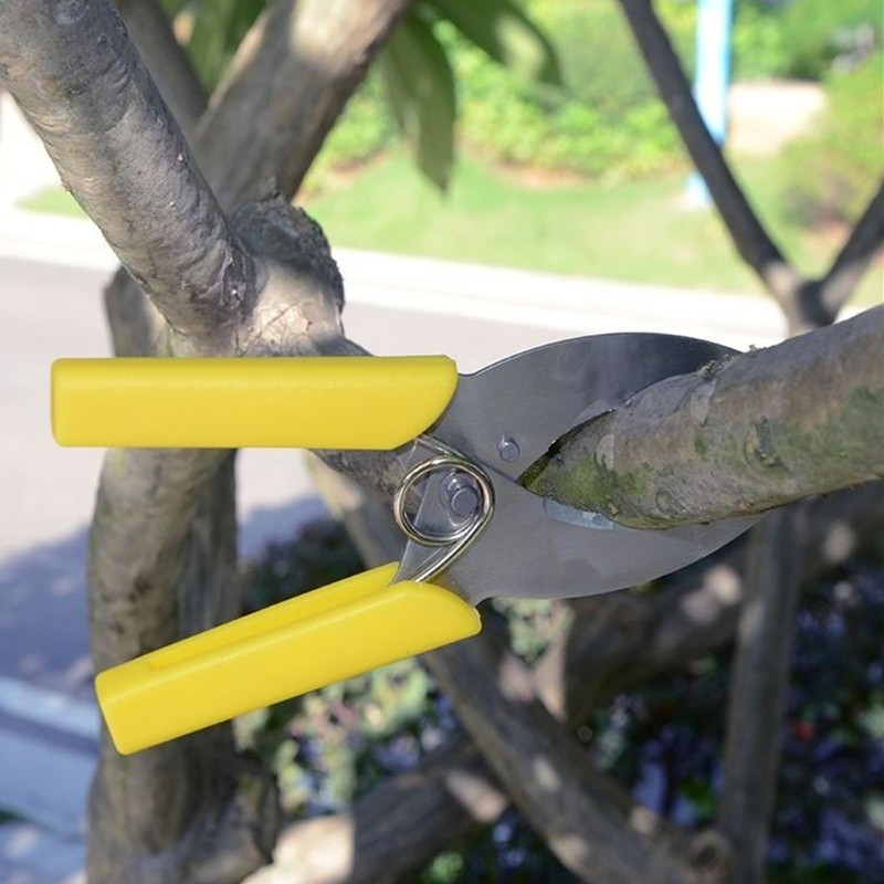 FJYXCHENXM 2 PCS Ring Barking Cutter Scissor Professional Grafting Tool