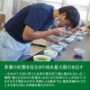 Shizuoka Prefecture Kakegawa Ichiban Tea Use [Matcha Included] Deep Steamed