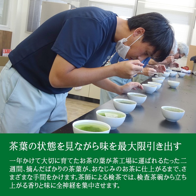 Shizuoka Prefecture Kakegawa Ichiban Tea Use [Matcha Included] Deep Steamed