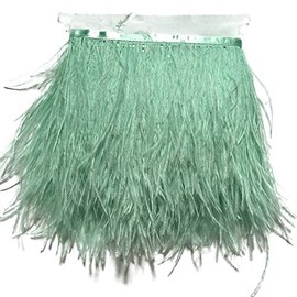 Sowder Ostrich Feathers Trims Fringe With Satin Ribbon Tape for Dress Sewing Crafts Costumes Decoration Pack of 2 yards(mint green)