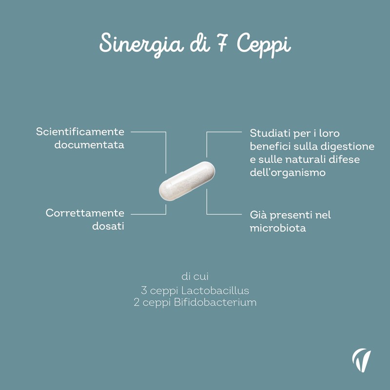 Fermenti Lattici Probiotici - 7 Ceppi Selezionati - 28 milliardi