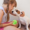 Bouncy Ball for Dogs,Dog Chew Ball - Bouncy Pet Ball,