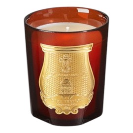 TRUDON World's Finest Perfumed Candle, Superior Craftsmanship and Fragrances, Made in France (270 g / 9.5 oz, Cire Beeswax Absolute)