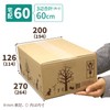 Earth Cardboard, 60 Size, B5, Set of 120, Design Box,