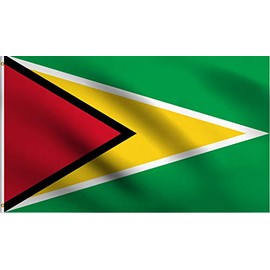 DMSE Guyana Guyanese National The Golden Arrowhead Flag 3X5 Ft Foot 100% Polyester 100D Flag UV Resistant (3' X 5' Ft Foot)