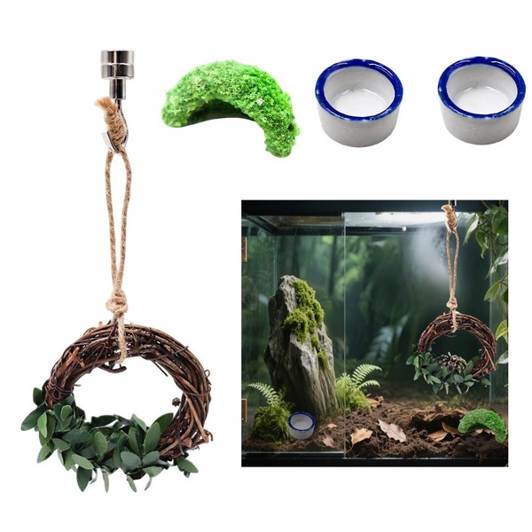 Set of 4 Jumping Spider Enclosure Accessories Jumping Spider Accessories