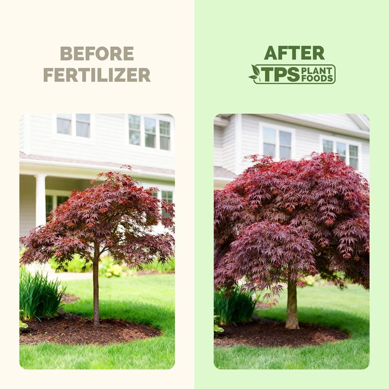 Japanese Maple Fertilizer – Liquid Plant Food for Vibrant Color,
