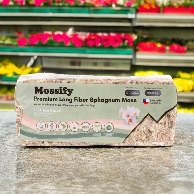 Mossify Premium Sphagnum Moss for Plants 150g, 5.3 Oz -