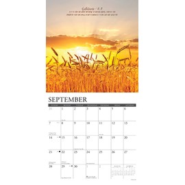 Willow Creek Press God's Palette Monthly 2025 Wall Calendar (12" x 12")