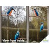 4 x Kingfisher Bird Window Stickers for Glass - Double