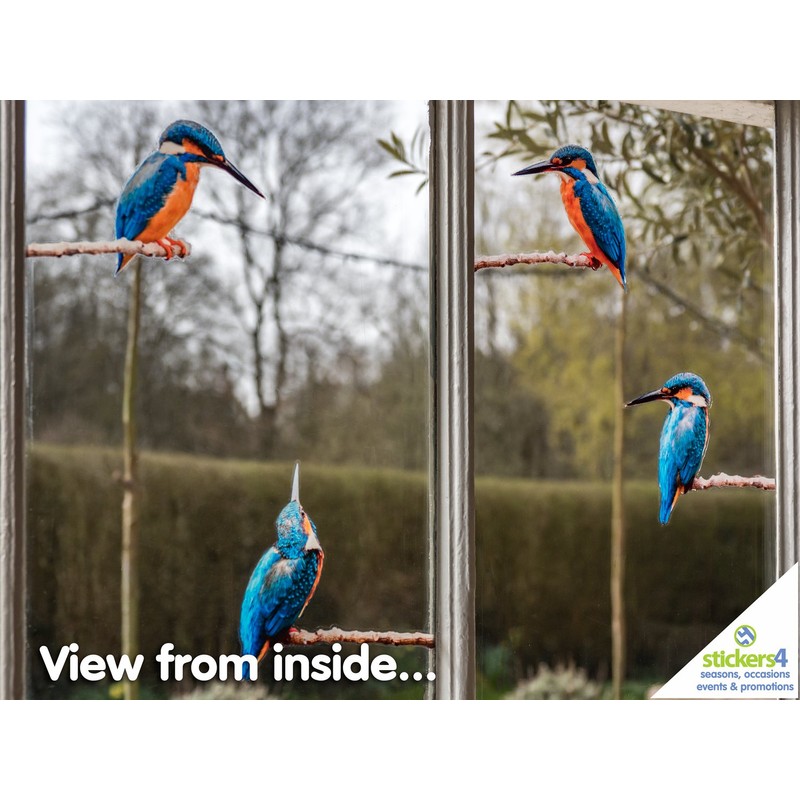 4 x Kingfisher Bird Window Stickers for Glass - Double