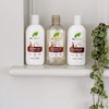 Dr. Organic Cocco 265 ml Conditioner 265 ml (Pack of
