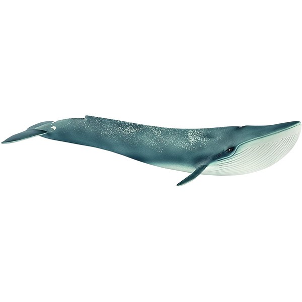 SCHLEICH Wild Life Blue Whale Educational Figurine for Kids Ages 3-8
