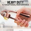 Zulay Kitchen Premium Garlic Press Set - Rust Proof Professional