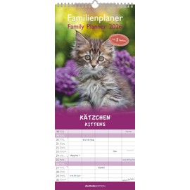 Kätzchen 2026 Familienplaner - Familienkalender - Wandkalender - 19,5x45: by Sabine Rath