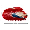 Aurasnap Red Betta Hair Claw Clip - Acetate Non-Slip Hair