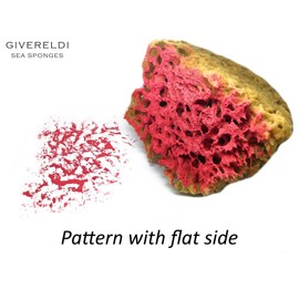 Half Natural Sea Sponge With Flat side for Painting, Artists, Decorating, Texturing, Sponging, Marbling, Faux Finishes, Crafts & More - strong and durable - 100% Natural & Organic - Hypoallergenic