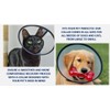Questore Soft Dog/Cat Cone Collar Adjustable, Durable, Washable, After Surgery,