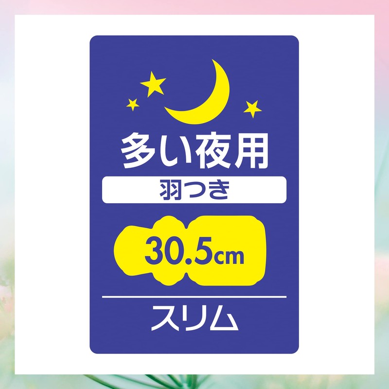 Center-in Compact 1/2 Sweet for Heavy Night Use with Wings,