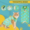 Avont Cat Recovery Suit - Kitten Onesie for Cats After