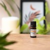 BIO - PETITGRAIN Essential Oil - 5mL - 100% Pure,