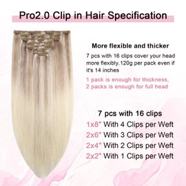Sweetmet Pro2.0 Clip-In Real Hair Extensions, 120 g, Thick, 7 Pieces for Women
