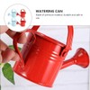 4pcs Mini Watering Can for Kids Watering Can Metal Small