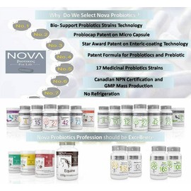 NOVA Probiotics Multi-Strain Ultra Strength Plus+ 100 Billion Probiotics per Capsule-30 VCaps