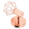 Swing Arm Wall Lamp 350 Degree Rotary Cage Shade Iron