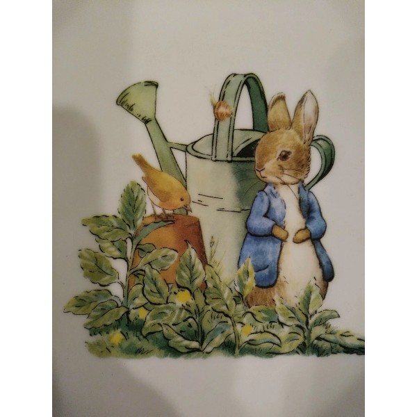 BEATRIX POTTER Peter Rabbit 9.5 x 3.25" Porcelain Bowl NEW