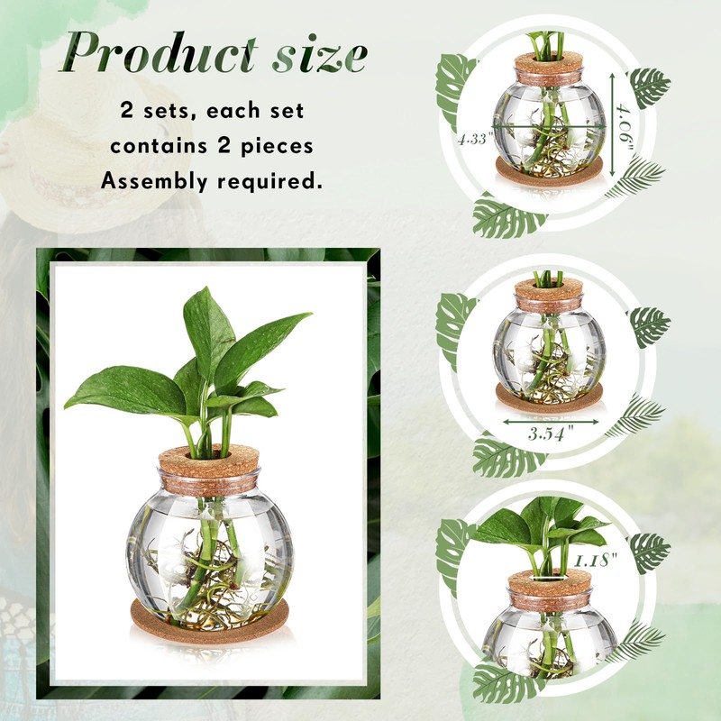 Baderke 2 Packs Propagation Vases for Plants Plastic Plant Propagation