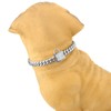 Aiyidi Dog Chain Collar, 12MM Heavy Duty Cuban Chain Collar,