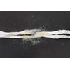 Takagi PP Rope with Cutter, For Gardening, UV Compounds, 0.2