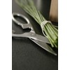 ZWILLING 41470-000 Twin Select Satin Cooking Scissors, All Stainless Steel,