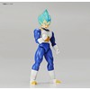 Figure-rise Standard, Dragon Ball Super Saiyan God Vegeta, Painted Plastic
