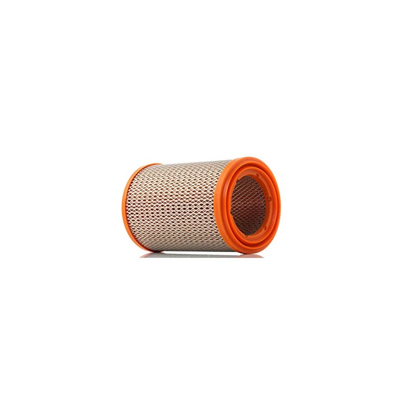 Filtron Air Filter AR211