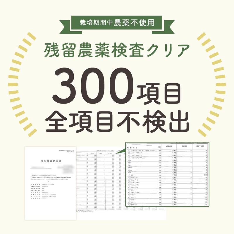 【黒トリュフ味】ogaland そら豆スナック 170g お菓子 おつまみ スナック チップス