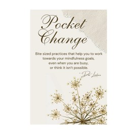 Pocket Change: Bite Sized Mindfulness Practices; Spiritual; Meditation
