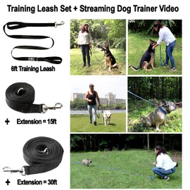 Olive Paws 30 ft Dog Leash | Small Dogs, Medium, Large | Dog Training Leash Set | 6ft, 15ft, 20ft, 30ft Long Dog Lead Dog Training Tools – Puppy Training, & Bonus Instructional Video (Black)