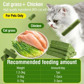 HavenJanny 50g/1.76oz Cat Grass Teething Stick, Cat Grass Stick Canned for Indoor Cats, Cats Treats Hairball Relief and Teeth Cleaning