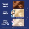 Live Schwarzkopf Color XXL HD Intense Colour Permanent Coloration 00B