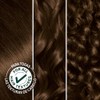 Garnier Nutrisse Nourishing Hair Color Creme, 535 Medium Gold Mahogany