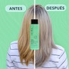 HIDRACOLOR Hidra Matiz Shampoo Neutraliza Tonos, Matiza Cabello Rubio 500ml