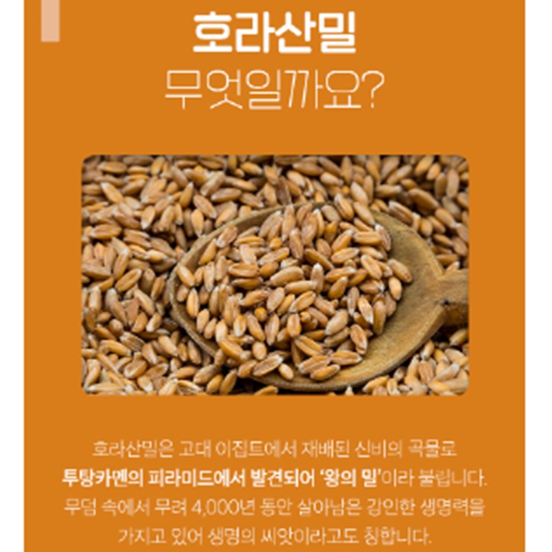 charm goods High potency enzyme amylase grain enzyme / 역가수치높은효소