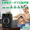 W WINBRIDGE M801 Amplifier, 20 W, Portable Amplifier, IPX6 Waterproof,