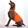 Dog Jacket High Visibility Safety Reflective Dog Vest for Small